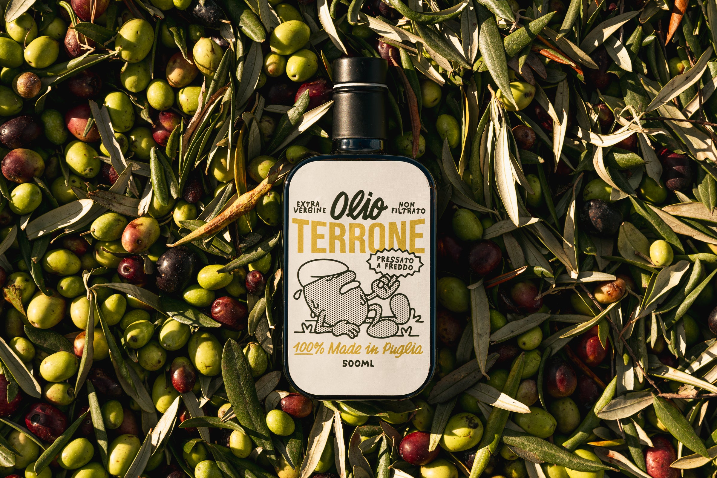 Uliveti Olio Terrone